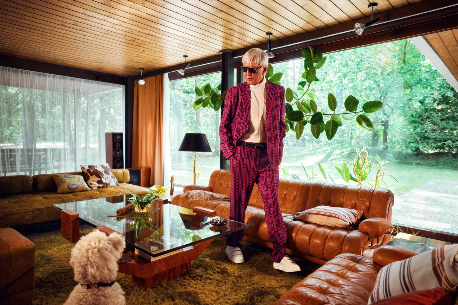 Suit NO.1 - ILLEGAL LUXURY- Ted Linow showing his dog his new Magenta suit with Black IL Pattern